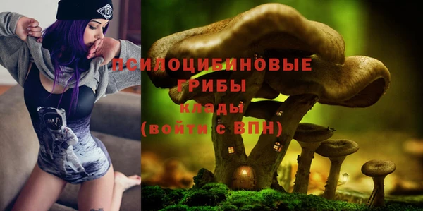 прущая мука Ладушкин