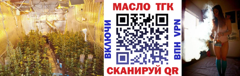 Купить где  Рыбное  Дистиллят ТГК THC oil 