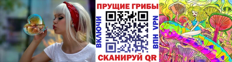 Купить закладки  Рыбное  Галлюциногенные грибы Magic Shrooms 